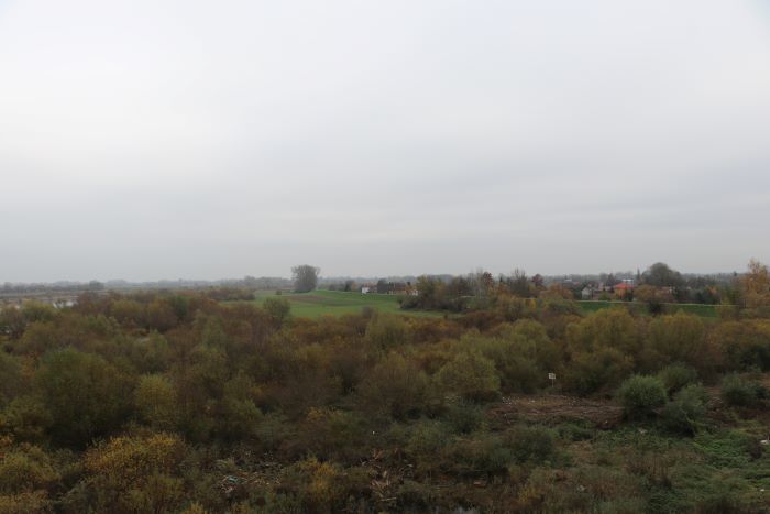 Zdjęcie z galerii