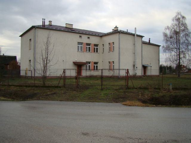 Zdjęcie z galerii