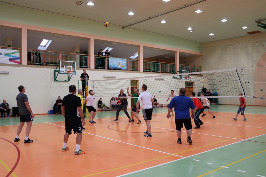 Zdjęcie z galerii