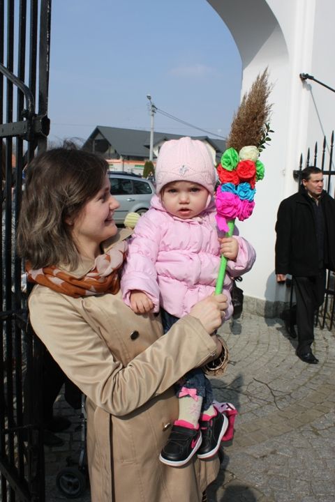 Zdjęcie z galerii