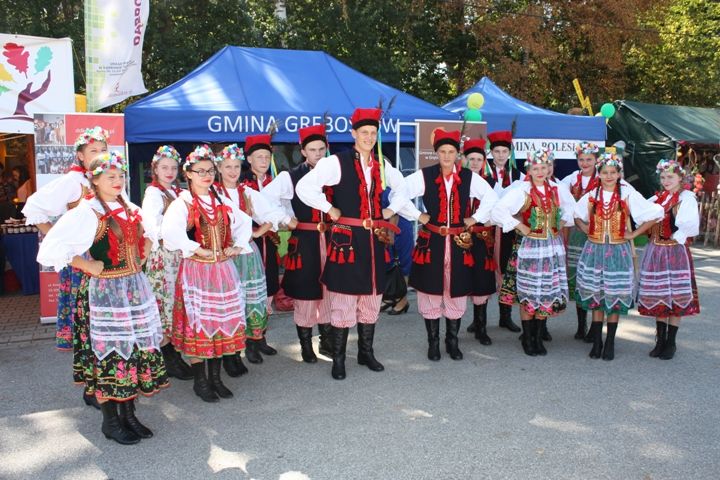 Zdjęcie z galerii