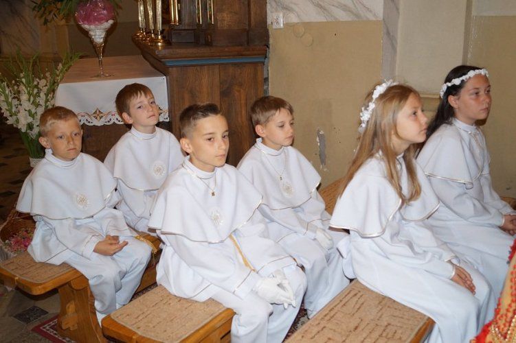 Zdjęcie z galerii