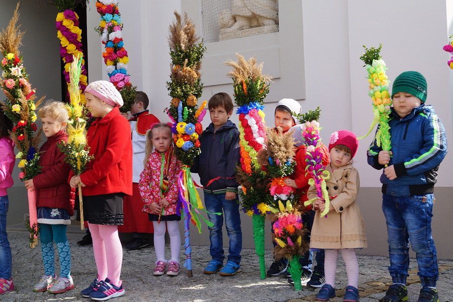 Zdjęcie z galerii