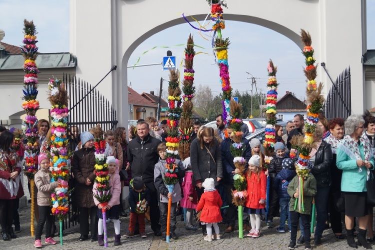 Zdjęcie z galerii