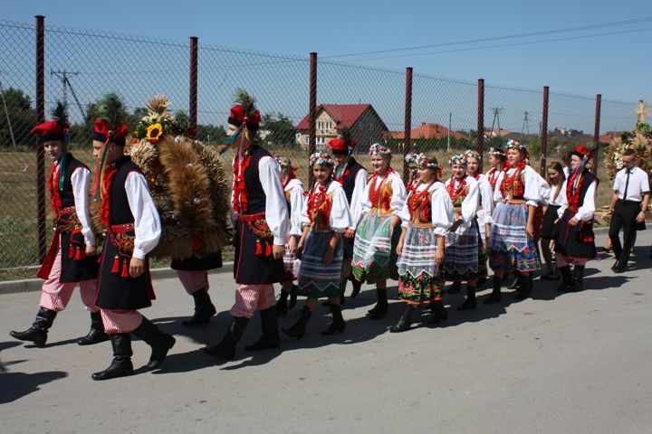 Zdjęcie z galerii