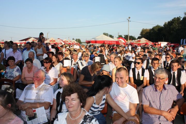 Zdjęcie z galerii