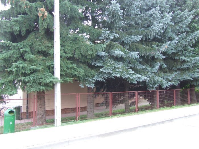 Zdjęcie z galerii