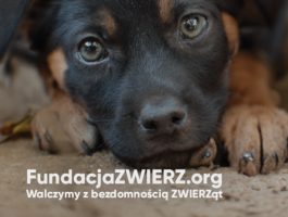 Logo Fundacji zwierz