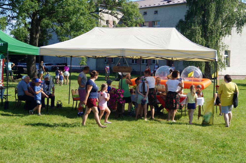 Zdjęcie z galerii