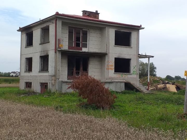 Zdjęcie z galerii