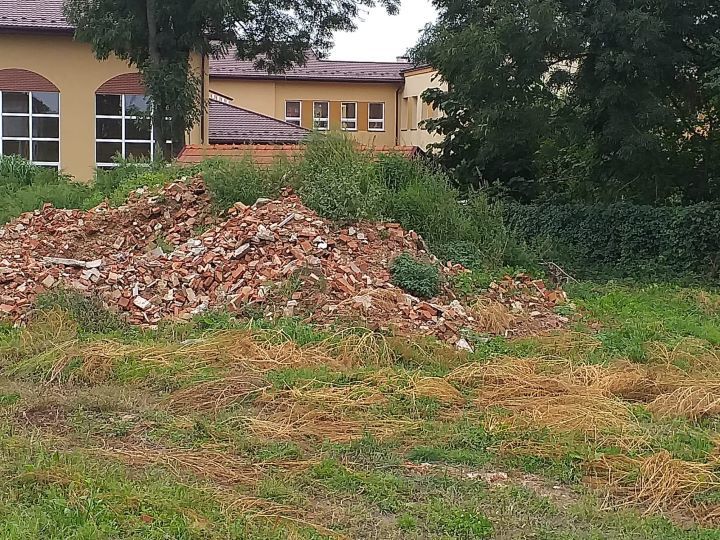 Zdjęcie z galerii