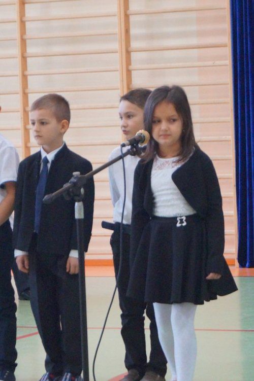 Zdjęcie z galerii