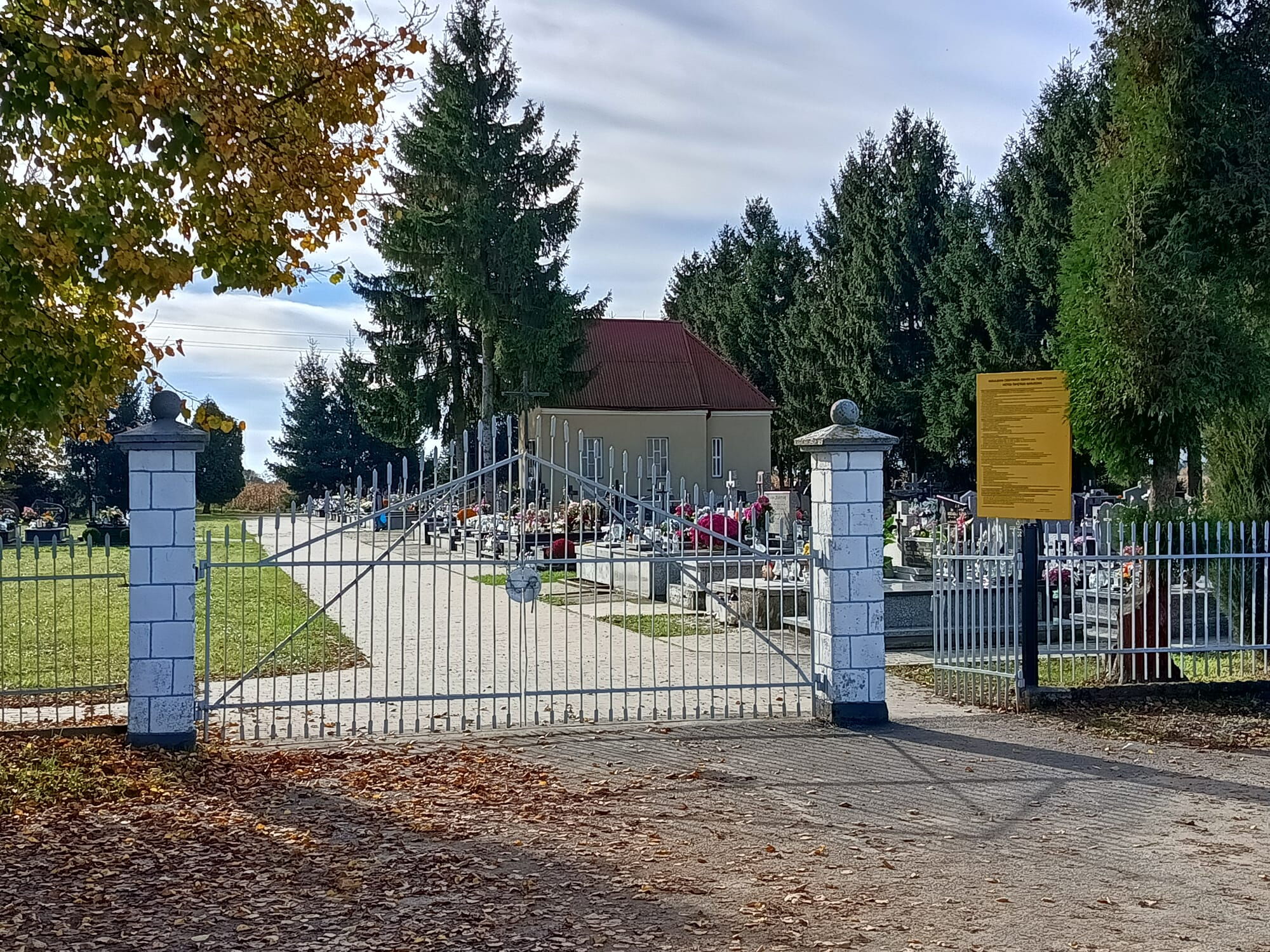 Zdjęcie z galerii