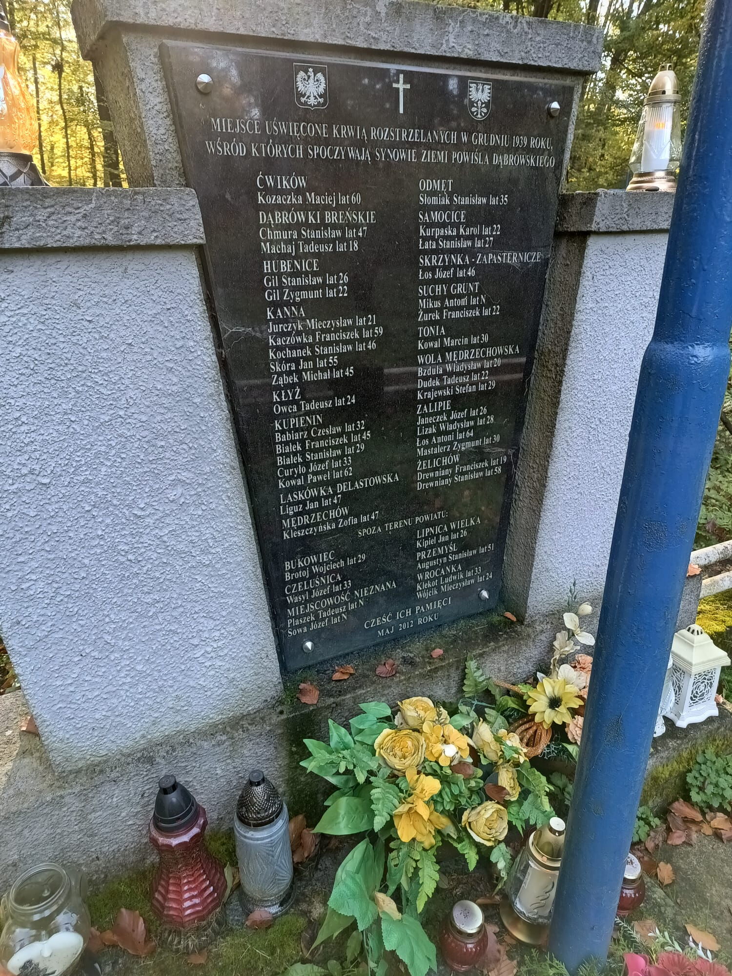 Zdjęcie z galerii