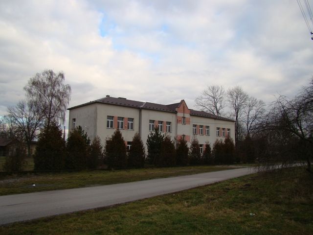 Zdjęcie z galerii