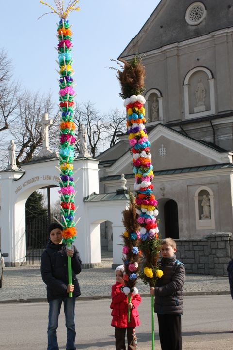 Zdjęcie z galerii