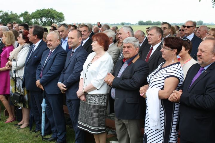 Zdjęcie z galerii