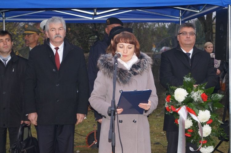 Zdjęcie z galerii