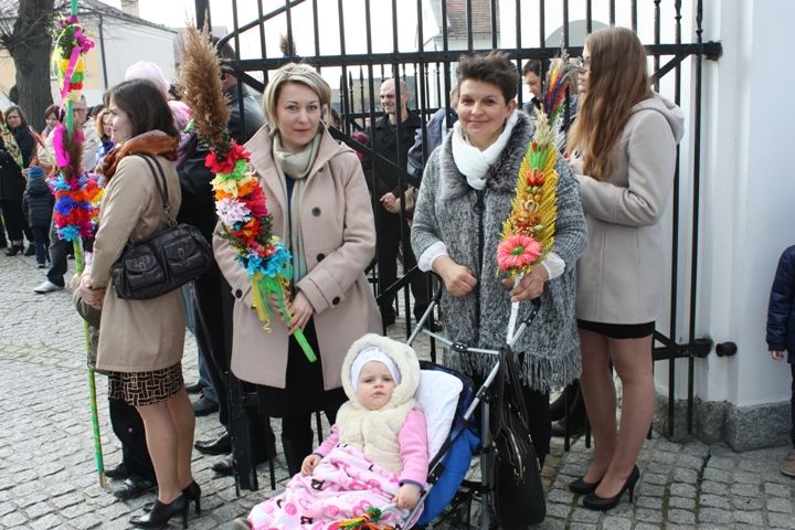 Zdjęcie z galerii