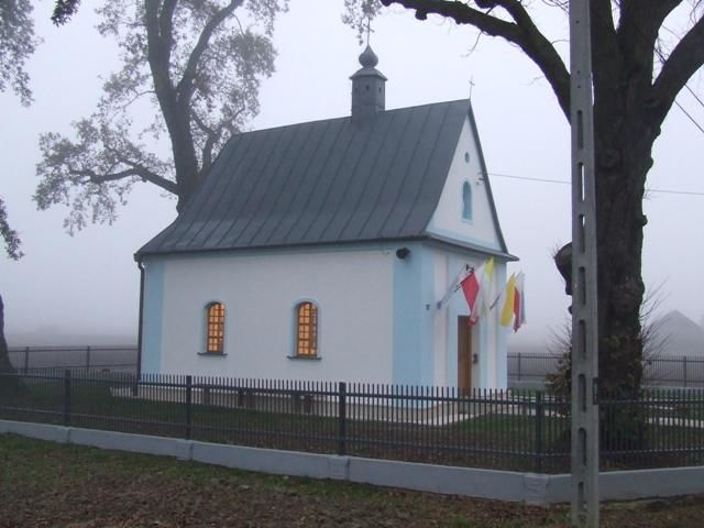 Zdjęcie z galerii
