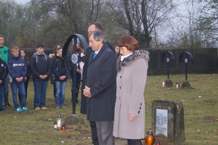 Zdjęcie z galerii