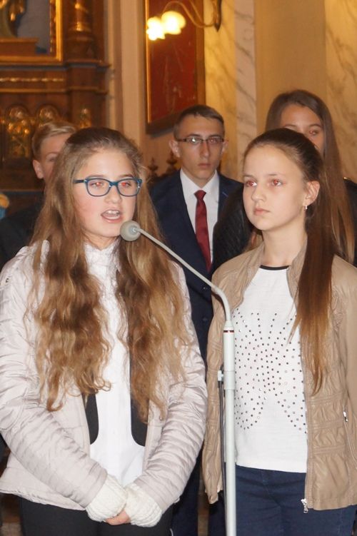 Zdjęcie z galerii