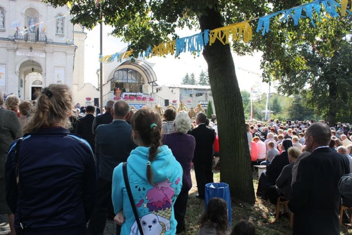 Zdjęcie z galerii
