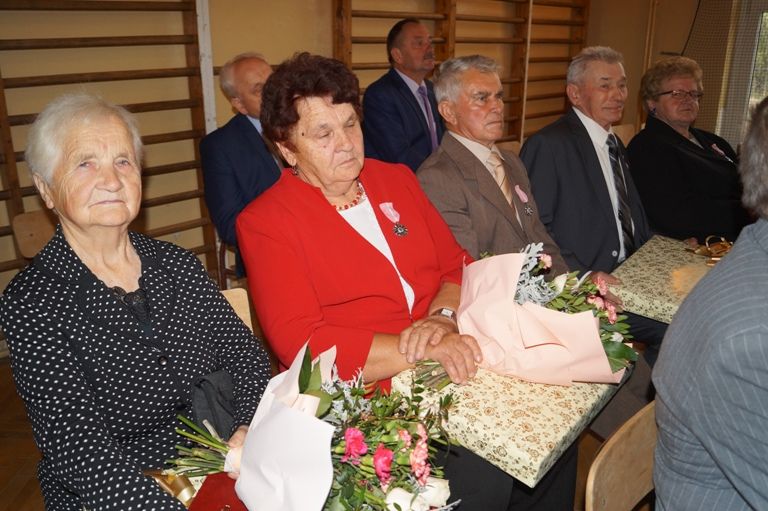 Zdjęcie z galerii