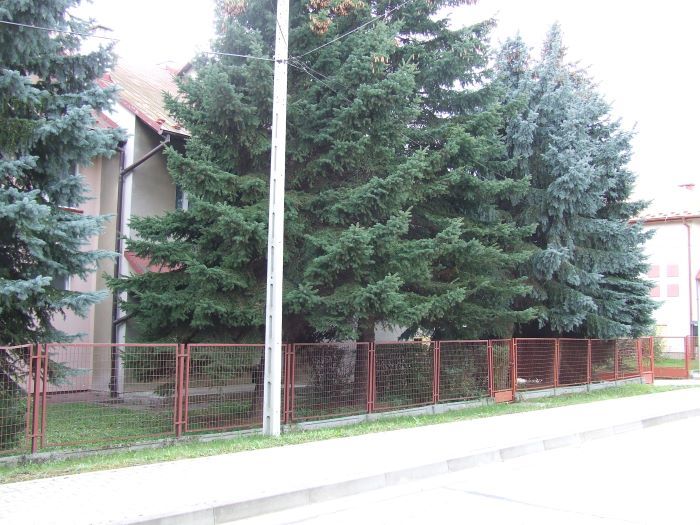 Zdjęcie z galerii