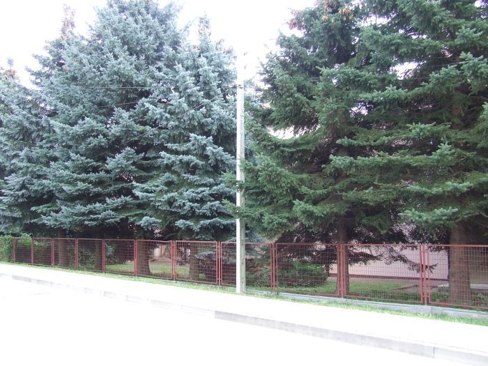 Zdjęcie z galerii