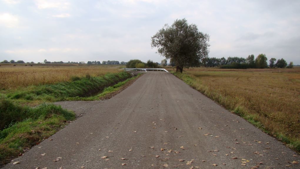 Zdjęcie z galerii