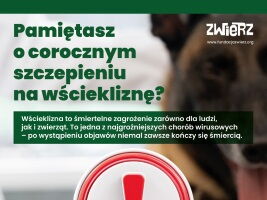 Plakat szczepienia miniatura