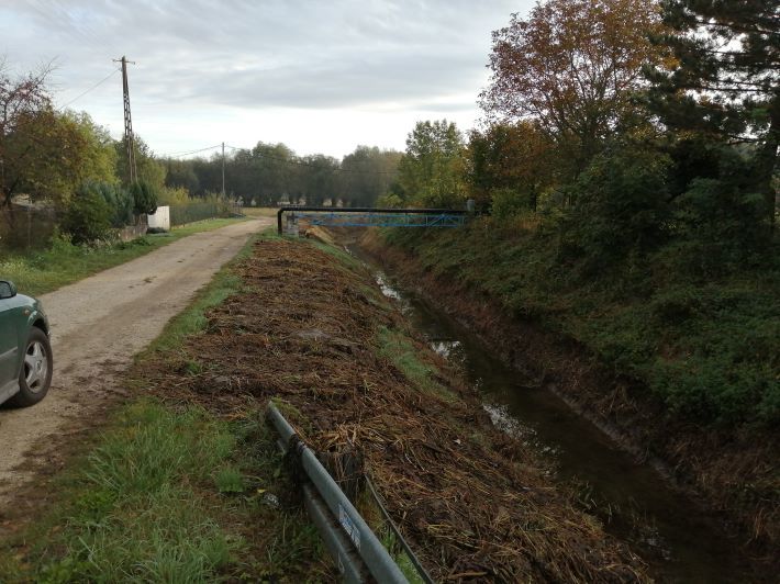 Zdjęcie z galerii