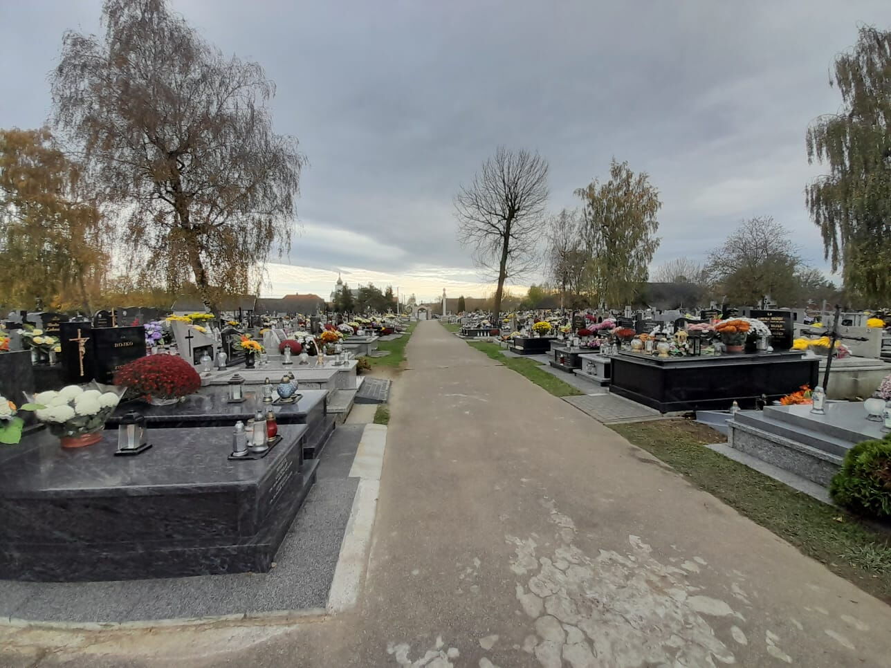 Zdjęcie z galerii