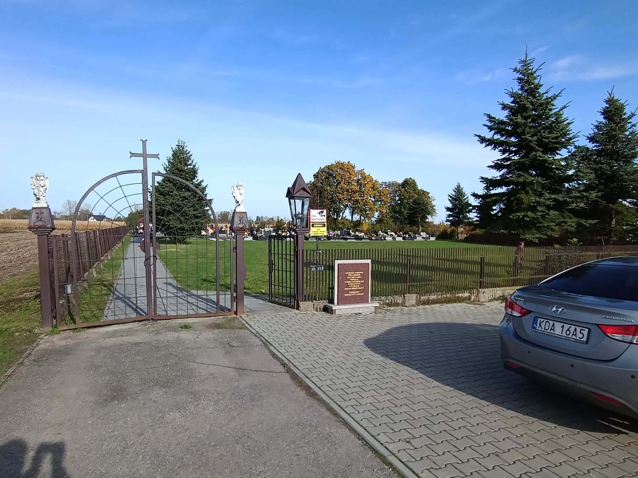 Zdjęcie z galerii