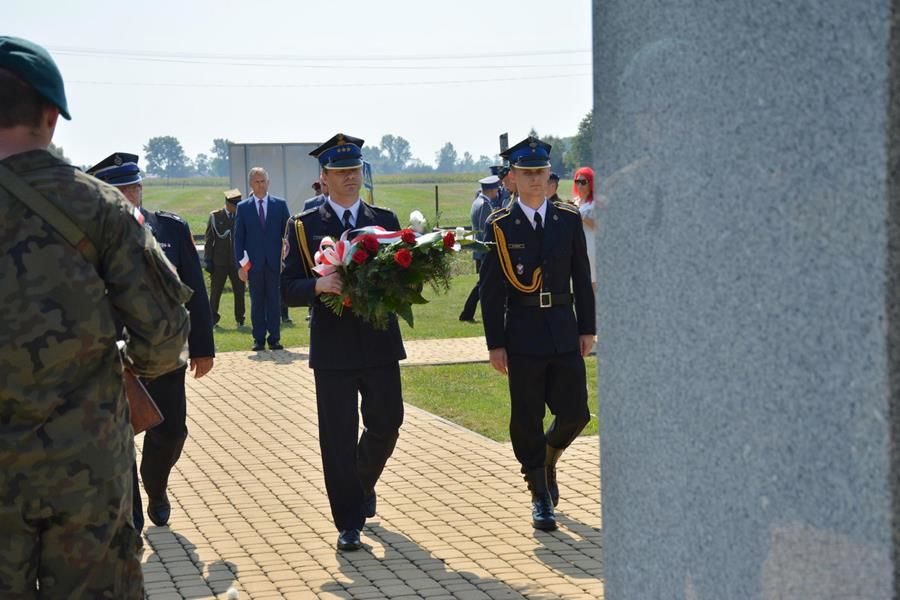 Zdjęcie z galerii