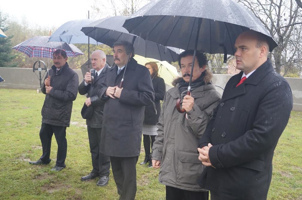 Zdjęcie z galerii