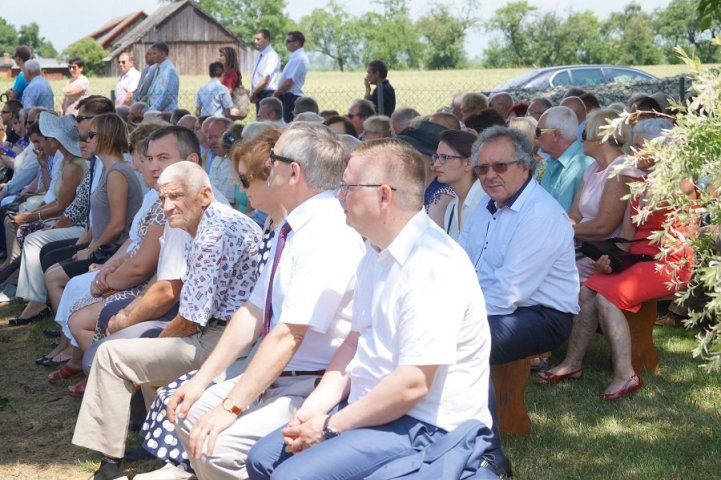 Zdjęcie z galerii