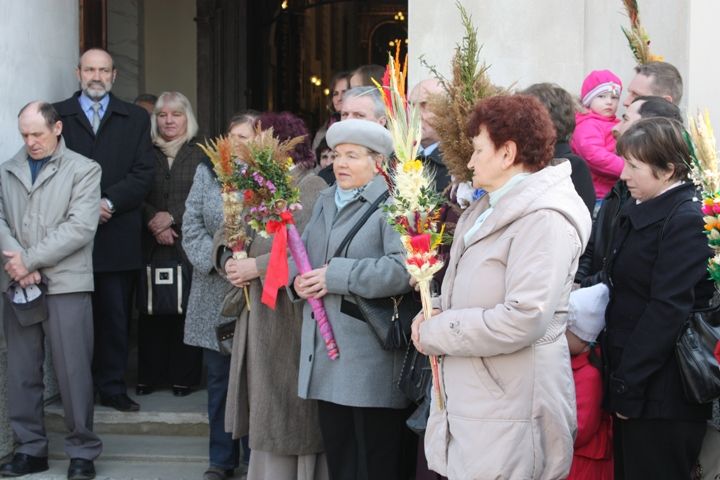 Zdjęcie z galerii