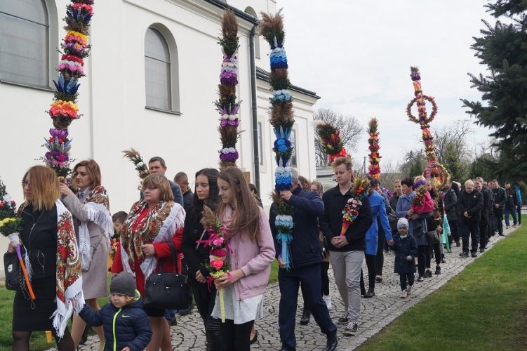 Zdjęcie z galerii