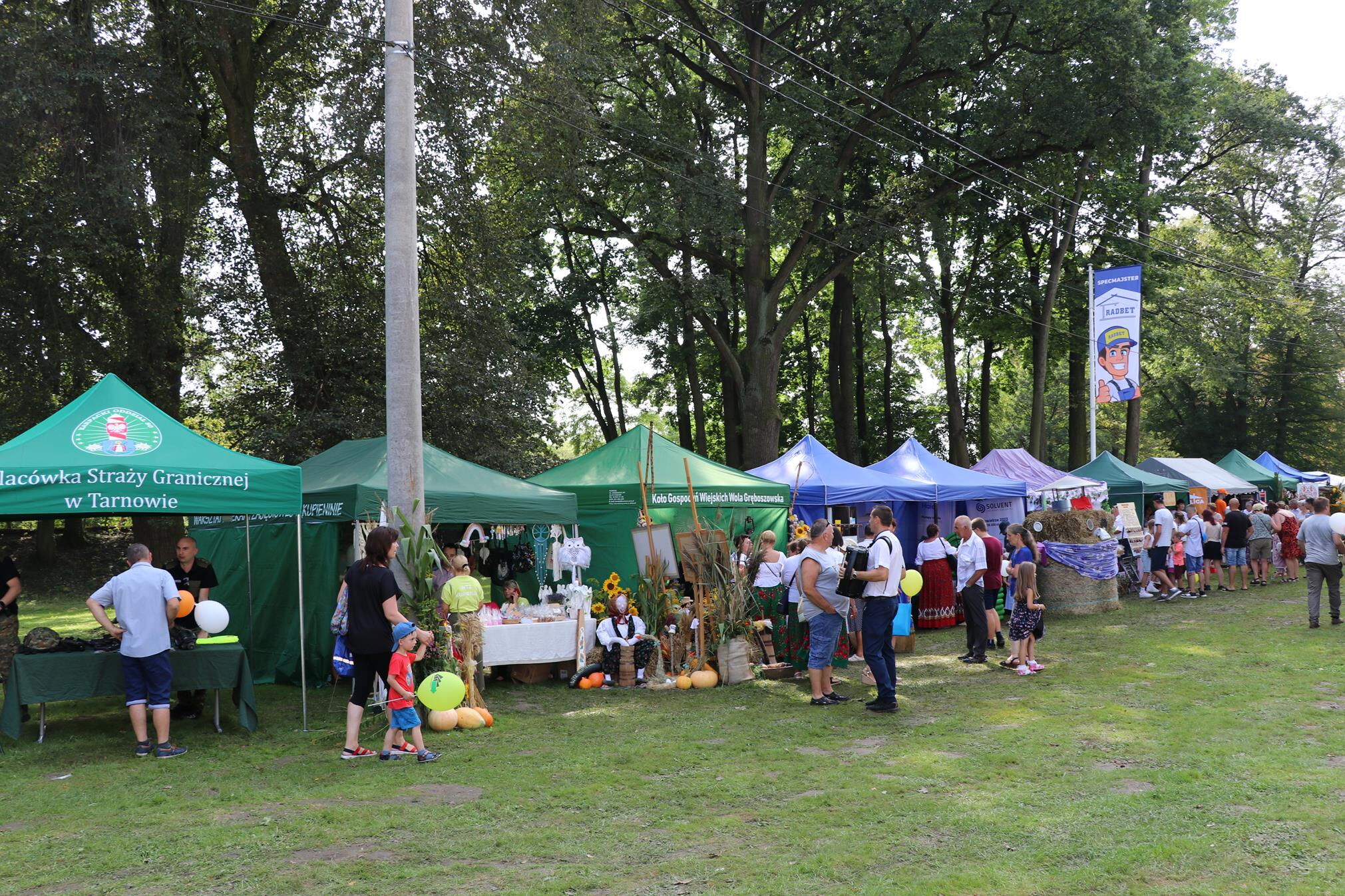 Zdjęcie z galerii