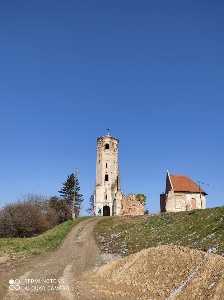 Zdjęcie z galerii