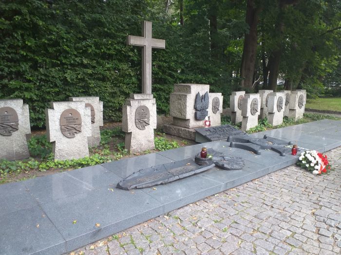 Zdjęcie z galerii