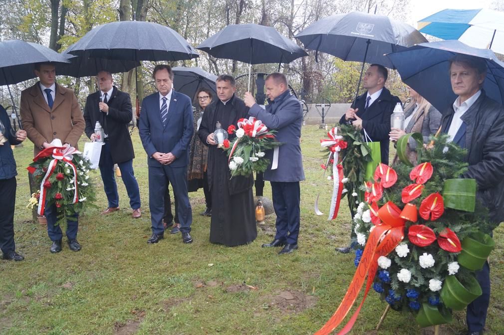 Zdjęcie z galerii