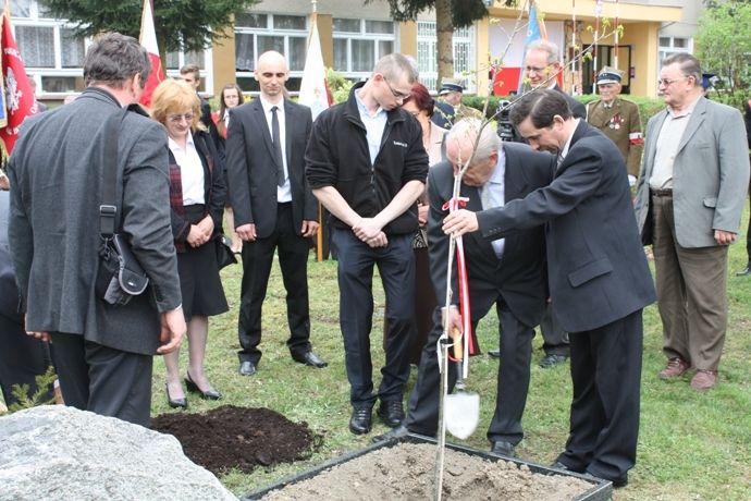 Zdjęcie z galerii