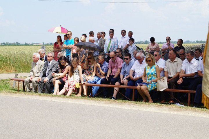 Zdjęcie z galerii