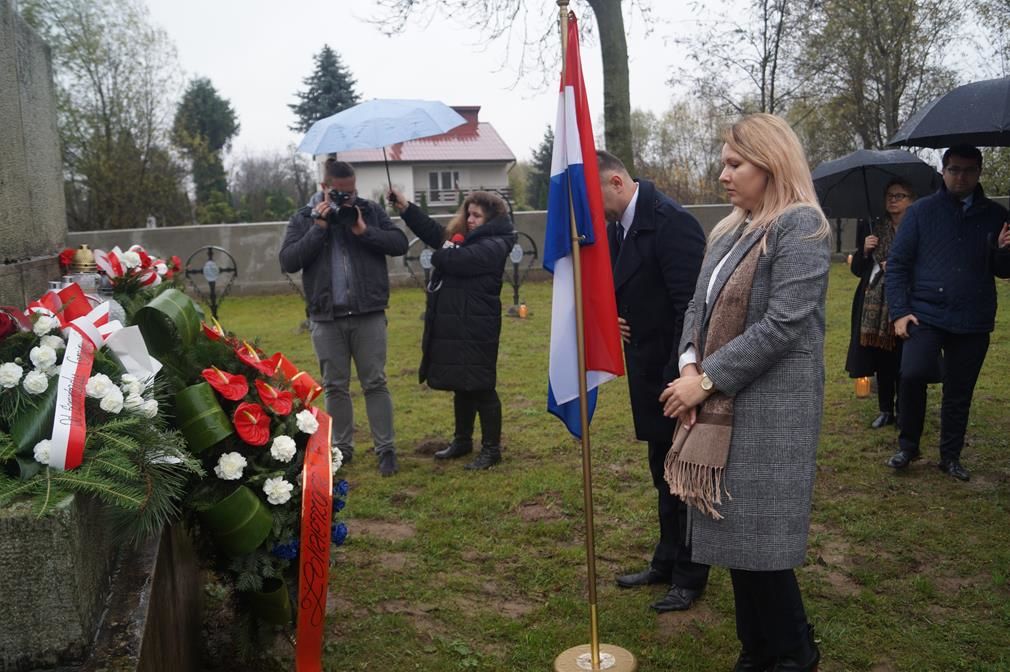 Zdjęcie z galerii