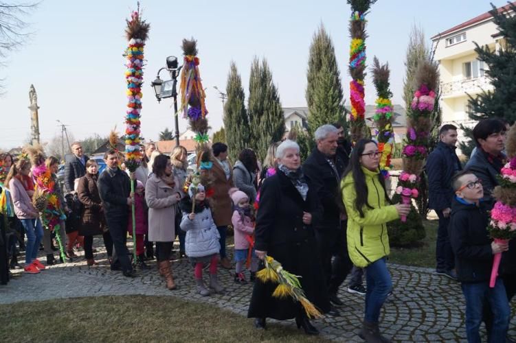 Zdjęcie z galerii