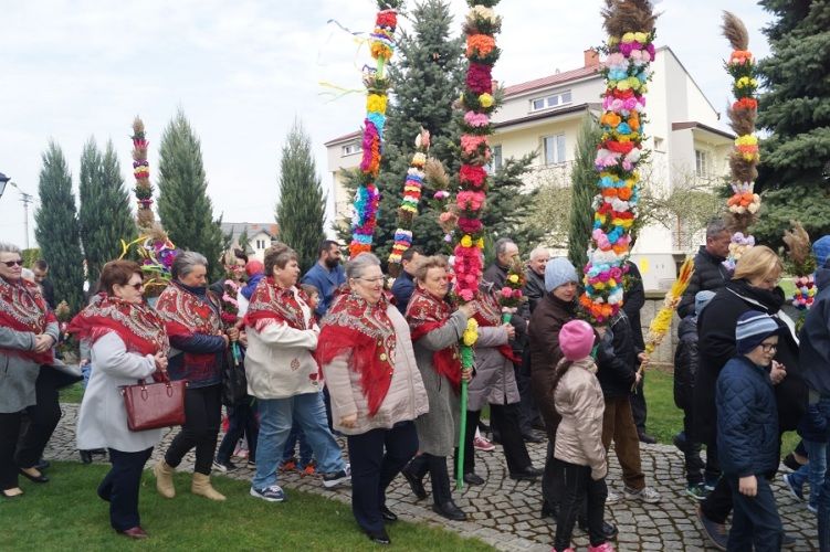 Zdjęcie z galerii