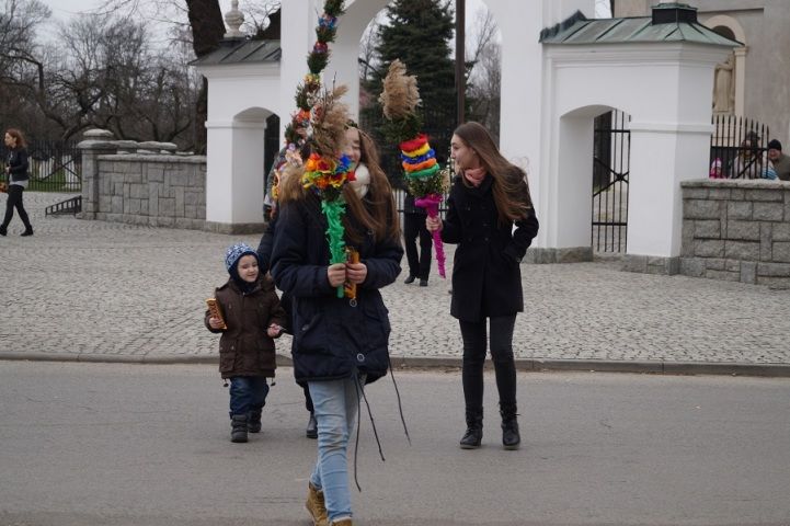 Zdjęcie z galerii